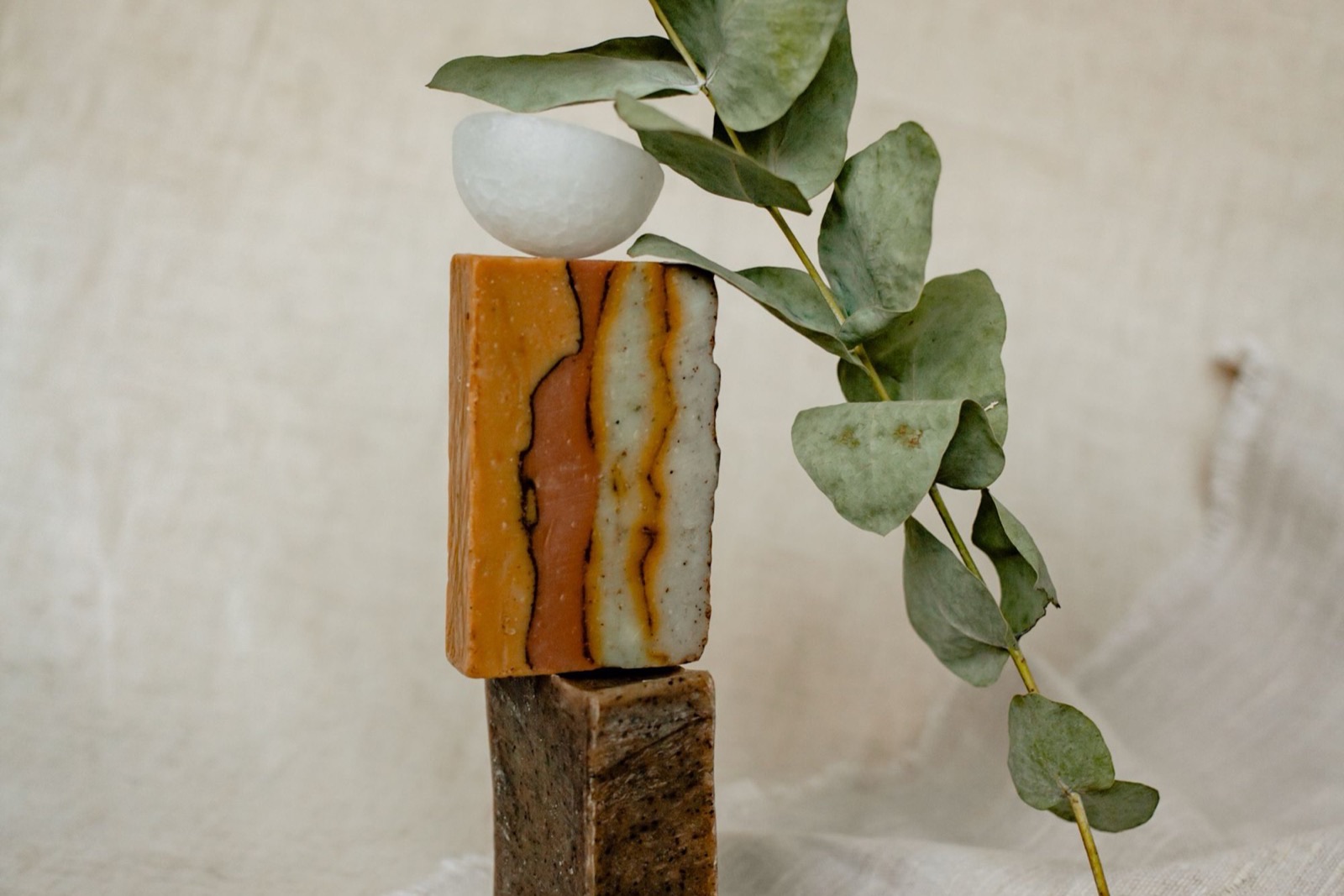 Bồ hòn (Sapindus mukorossi) trong mỹ phẩm: saponin, bằng chứng