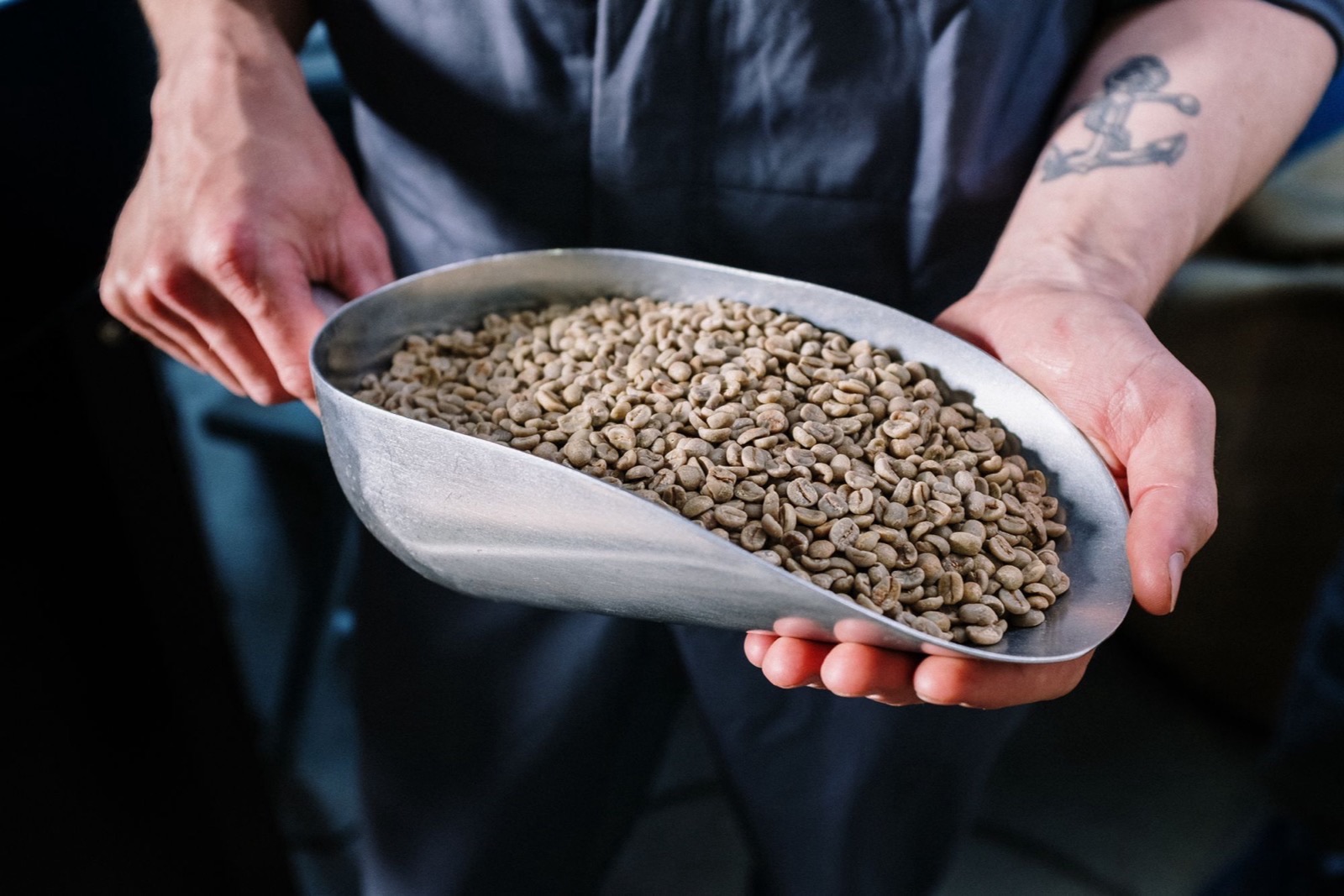 Chiết xuất hạt cà phê (Coffea arabica): bằng chứng và lưu ý