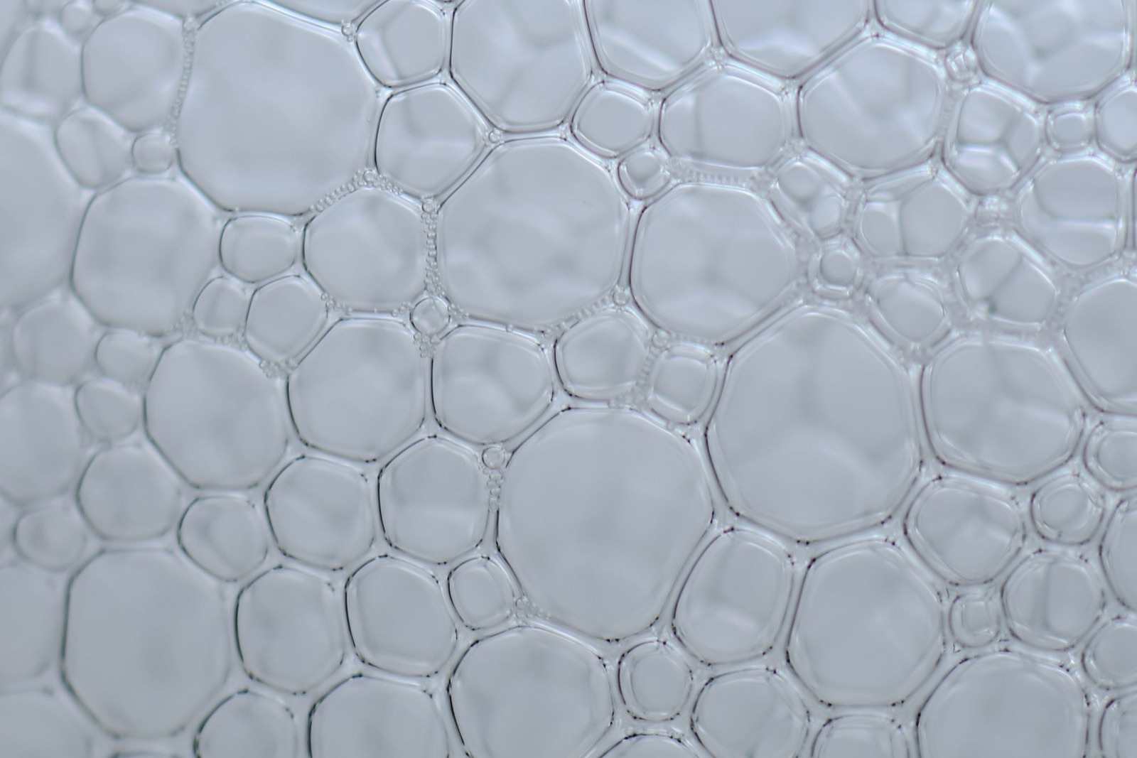 Cocamidopropyl betaine (CAPB) trong mỹ phẩm: độ dịu và dị ứng