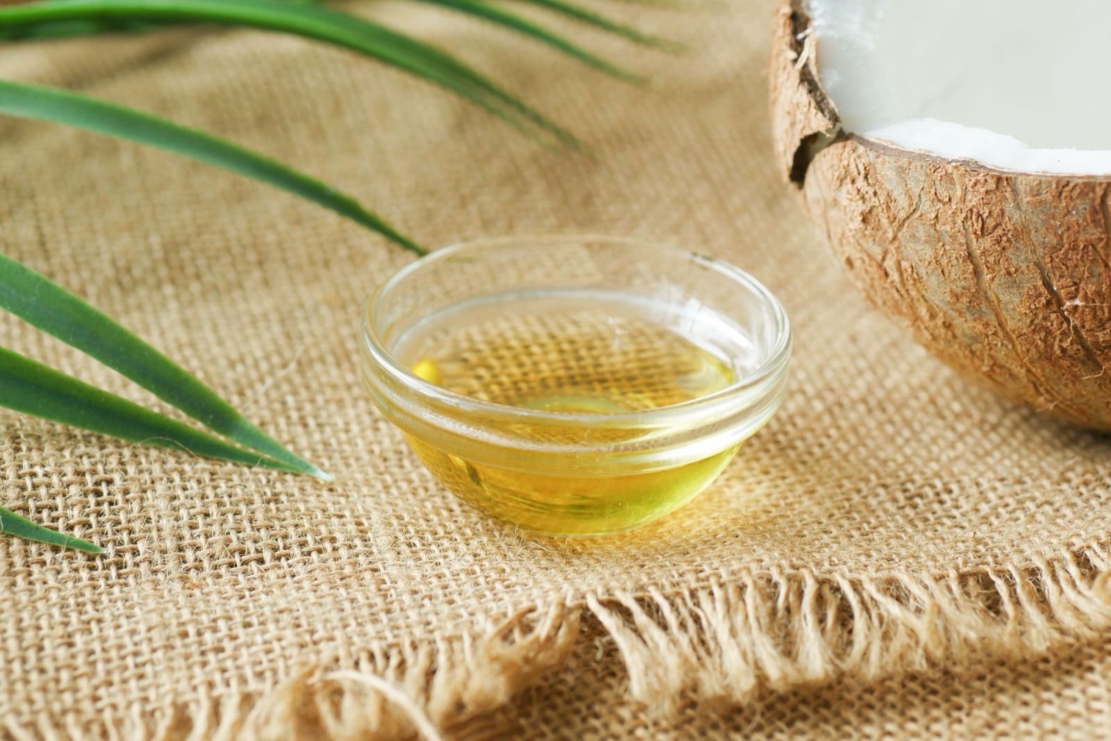 Dầu dừa (Cocos Nucifera Oil) trong mỹ phẩm: bằng chứng và an toàn