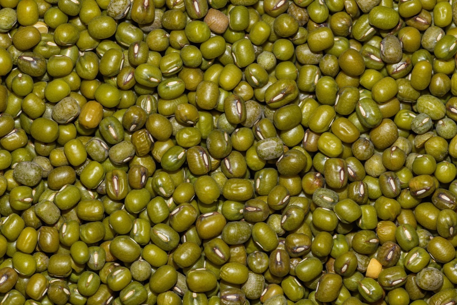 Đậu xanh (Phaseolus Radiatus) trong mỹ phẩm: bằng chứng, an toàn