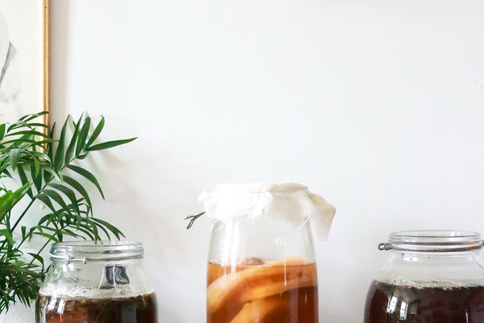 Galactomyces ferment filtrate trong mỹ phẩm: cơ chế, bằng chứng