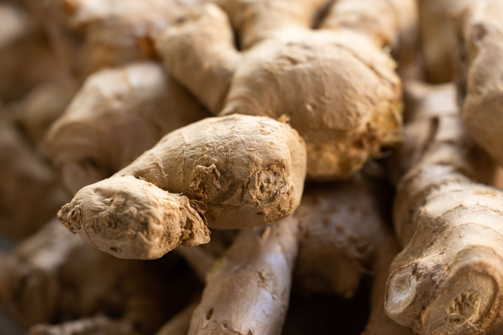 Chiết xuất gừng (Zingiber officinale): cảm giác ấm, tóc, an toàn