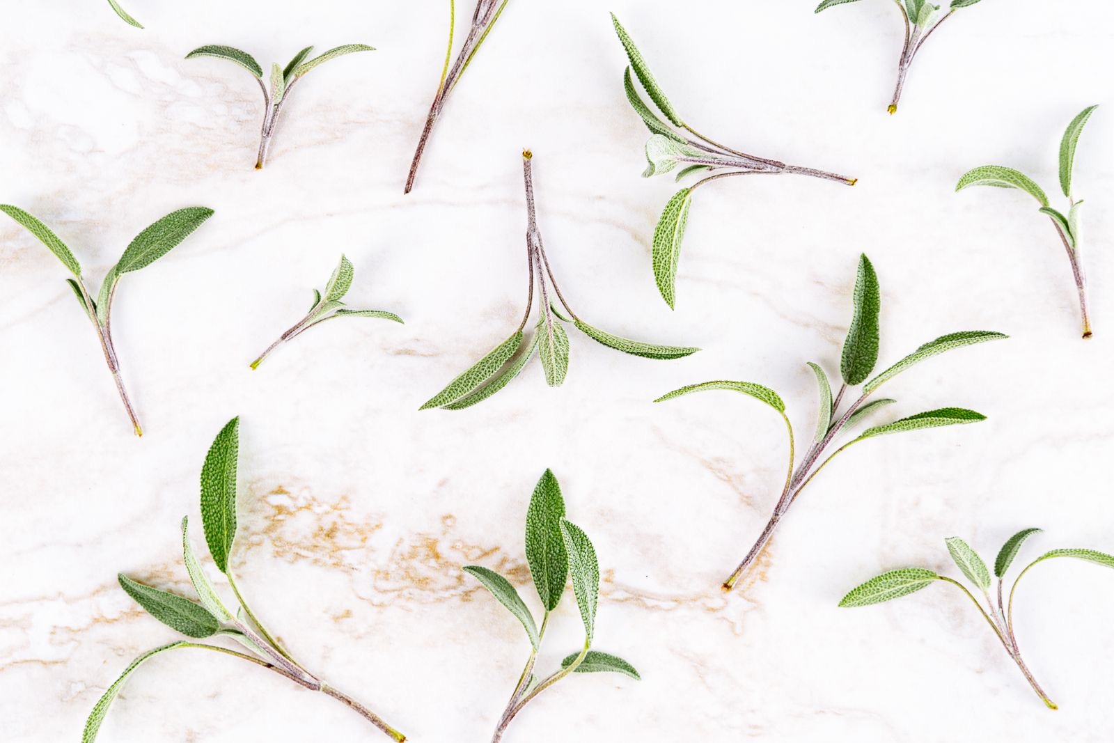 Bakuchiol trong mỹ phẩm: công dụng, hàm lượng và so sánh retinol