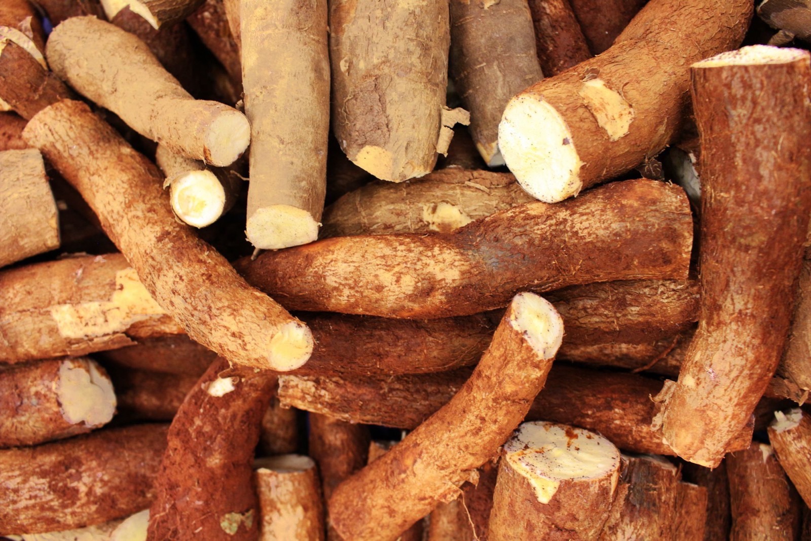Tinh bột sắn (Tapioca Starch) trong mỹ phẩm: công dụng, an toàn