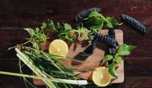 cách làm dầu gội thảo dược